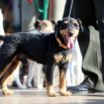 4.10.2015 Kielce. Msza święta w kieleckiej katedrze rozpoczęła tegoroczne święto myśliwych „Hubertusa”. Później imprezy odbywały się na Stadionie Leśnym. / Wojciech Habdas / Radio Kielce