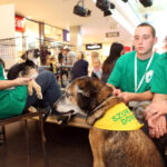 4.10.2015 Kielce.  „Adoptuj, nie kupuj, pokochaj zwierzaka” w Galerii Echo / Wojciech Habdas / Radio Kielce