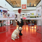 4.10.2015 Kielce.  „Adoptuj, nie kupuj, pokochaj zwierzaka” w Galerii Echo / Wojciech Habdas / Radio Kielce