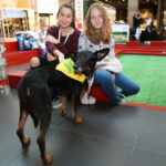 4.10.2015 Kielce.  „Adoptuj, nie kupuj, pokochaj zwierzaka” w Galerii Echo / Wojciech Habdas / Radio Kielce