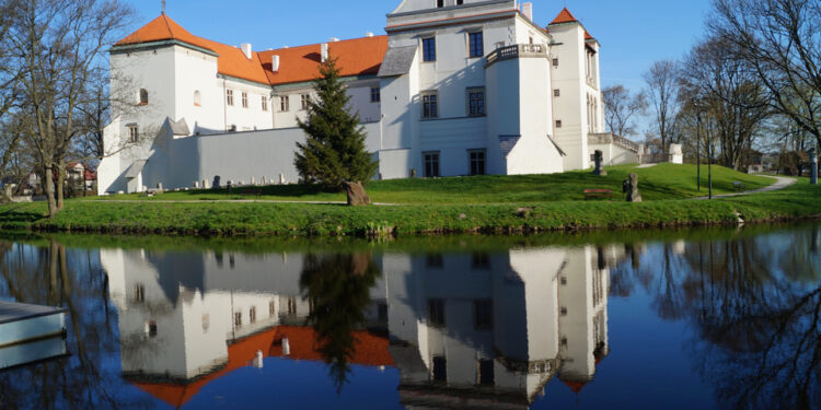 muzeuminstrumentow.pl