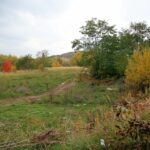 25.10.2015 Kielce. Tereny budowlane przy ŚCO / Stanisław Blinstrub / Radio Kielce