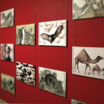 Wystawa w kieleckim MDK (25 listopada 2015 r.) / Piotr Michalski / Radio Kielce