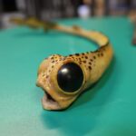 Świętokrzyska geologiczna ścieżka czasu (30 listopada 2015 r.) / Piotr Michalski / Radio Kielce