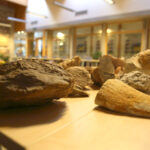 Świętokrzyska geologiczna ścieżka czasu (30 listopada 2015 r.) / Piotr Michalski / Radio Kielce