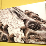 Wystawa w kieleckim MDK (25 listopada 2015 r.) / Piotr Michalski / Radio Kielce