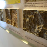 Świętokrzyska geologiczna ścieżka czasu (30 listopada 2015 r.) / Piotr Michalski / Radio Kielce