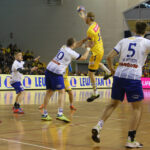 Vive Tauron Kielce vs PGE Stal Mielec (17 listopada 2015 r.) / Piotr Michalski / Radio Kielce