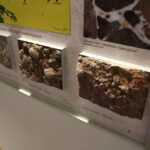 Świętokrzyska geologiczna ścieżka czasu (30 listopada 2015 r.) / Piotr Michalski / Radio Kielce