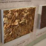 Świętokrzyska geologiczna ścieżka czasu (30 listopada 2015 r.) / Piotr Michalski / Radio Kielce