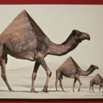 Wystawa w kieleckim MDK (25 listopada 2015 r.) / Piotr Michalski / Radio Kielce