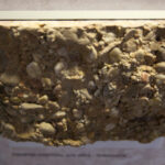 Świętokrzyska geologiczna ścieżka czasu (30 listopada 2015 r.) / Piotr Michalski / Radio Kielce