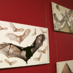 Wystawa w kieleckim MDK (25 listopada 2015 r.) / Piotr Michalski / Radio Kielce