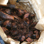 Kiermasz Zdrowej Żywności na dziedzińcu Dworku Laszczyków (8 listopada 2015 r.) / Piotr Michalski / Radio Kielce