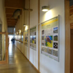 Świętokrzyska geologiczna ścieżka czasu (30 listopada 2015 r.) / Piotr Michalski / Radio Kielce