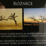 19.11.2015. Wystawa "Prawa człowieka. Dostrzegam" w Muzeum Dialogu Kultur / Wojciech Habdas / Radio Kielce