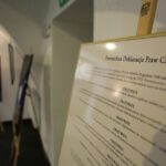 19.11.2015. Wystawa "Prawa człowieka. Dostrzegam" w Muzeum Dialogu Kultur / Wojciech Habdas / Radio Kielce