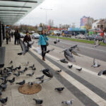 19.11.2015 Kielce. Nowe przystanki służą pasażerom. / Wojciech Habdas / Radio Kielce