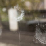 7.11.2015 Kielce. Gołębie wpadają w szyby nowego przystanku przy Źródłowej. / Wojciech Habdas / Radio Kielce