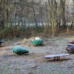 23.11.2015 Kielce. Ścieżka przyrodnicza na Stadionie / Wojciech Habdas / Radio Kielce