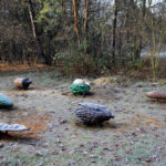 23.11.2015 Kielce. Ścieżka przyrodnicza na Stadionie / Wojciech Habdas / Radio Kielce