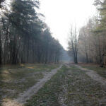 23.11.2015 Kielce. Ścieżka przyrodnicza na Stadionie / Wojciech Habdas / Radio Kielce