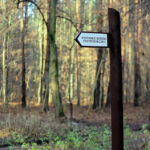 23.11.2015 Kielce. Ścieżka przyrodnicza na Stadionie / Wojciech Habdas / Radio Kielce