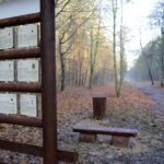 23.11.2015 Kielce. Ścieżka przyrodnicza na Stadionie / Wojciech Habdas / Radio Kielce