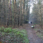 23.11.2015 Kielce. Ścieżka przyrodnicza na Stadionie / Wojciech Habdas / Radio Kielce