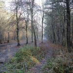 23.11.2015 Kielce. Ścieżka przyrodnicza na Stadionie / Wojciech Habdas / Radio Kielce