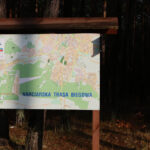 23.11.2015 Kielce. Ścieżka przyrodnicza na Stadionie / Wojciech Habdas / Radio Kielce