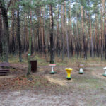 23.11.2015 Kielce. Ścieżka przyrodnicza na Stadionie / Wojciech Habdas / Radio Kielce