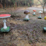 23.11.2015 Kielce. Ścieżka przyrodnicza na Stadionie / Wojciech Habdas / Radio Kielce