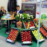 27.11.2015 Kielce. Targi Kielce. Targi Hort-Technika / Wojciech Habdas / Radio Kielce