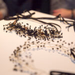 04.11.2015 Kielce. Off Fashion. Wystawa nakryć głowy Karoliny Pytlakowskiej / Stanisław Blinstrub / Radio Kielce