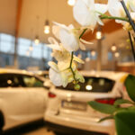 10.11.2015 Kielce. Vive Tauron. Podpisanie umowy z Lexusem. / Stanisław Blinstrub / Radio Kielce