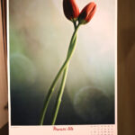 Finał konkursu fotograficznego Życie jest piękne (4 grudnia 2015 r.) / Piotr Michalski / Radio Kielce