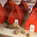 Dzień Dobry Dzieci (20 grudnia 2015 r.). / Piotr Michalski / Radio Kielce