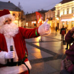 Świąteczna choinka na kieleckim rynku (7 grudnia 2015 r.) / Piotr Michalski / Radio Kielce