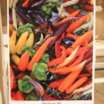 Finał konkursu fotograficznego Życie jest piękne (4 grudnia 2015 r.) / Piotr Michalski / Radio Kielce