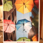 Finał konkursu fotograficznego Życie jest piękne (4 grudnia 2015 r.) / Piotr Michalski / Radio Kielce