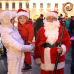 Świąteczna choinka na kieleckim rynku (7 grudnia 2015 r.) / Piotr Michalski / Radio Kielce