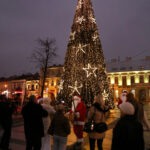 Świąteczna choinka na kieleckim rynku (7 grudnia 2015 r.) / Piotr Michalski / Radio Kielce