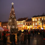 Świąteczna choinka na kieleckim rynku (7 grudnia 2015 r.) / Piotr Michalski / Radio Kielce