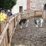 25.12.2015 Chęciny. Żywa szopka u Franciszkanów / Stanisław Blinstrub / Radio Kielce