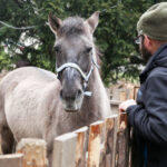 25.12.2015 Chęciny. Żywa szopka u Franciszkanów / Stanisław Blinstrub / Radio Kielce