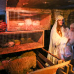 25.12.2015 Chmielnik. Żywa szopka z Maryją, Jezusem  i Józefem / Stanisław Blinstrub / Radio Kielce