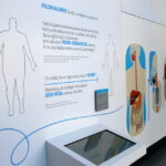 05.12.2015. "Człowiek - niezwykła maszyna" - ekspozycja przygotowana w Regionalnym Centrum Naukowo-Technologicznym w Podzamczu Chęcińskim / Kamil Król / Radio Kielce