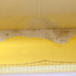 07.12.2015. Sala gimnastyczna Zespołu Szkół Ekonomicznych im. Oskara Langego wymaga natychmiastowego remontu / Kamil Król / Radio Kielce