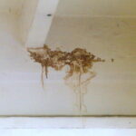 07.12.2015. Sala gimnastyczna Zespołu Szkół Ekonomicznych im. Oskara Langego wymaga natychmiastowego remontu / Kamil Król / Radio Kielce